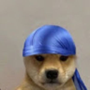 Meet your Posher, Dwight